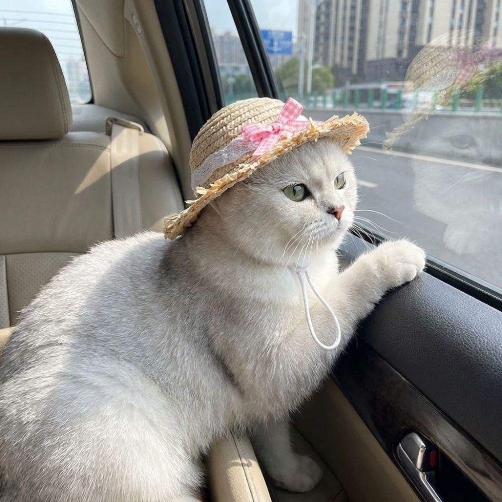 Adjustable Chin Strap Cat Straw Hat Breathable Sun Protection Hat Pet Lace Bow Hat Photo Props