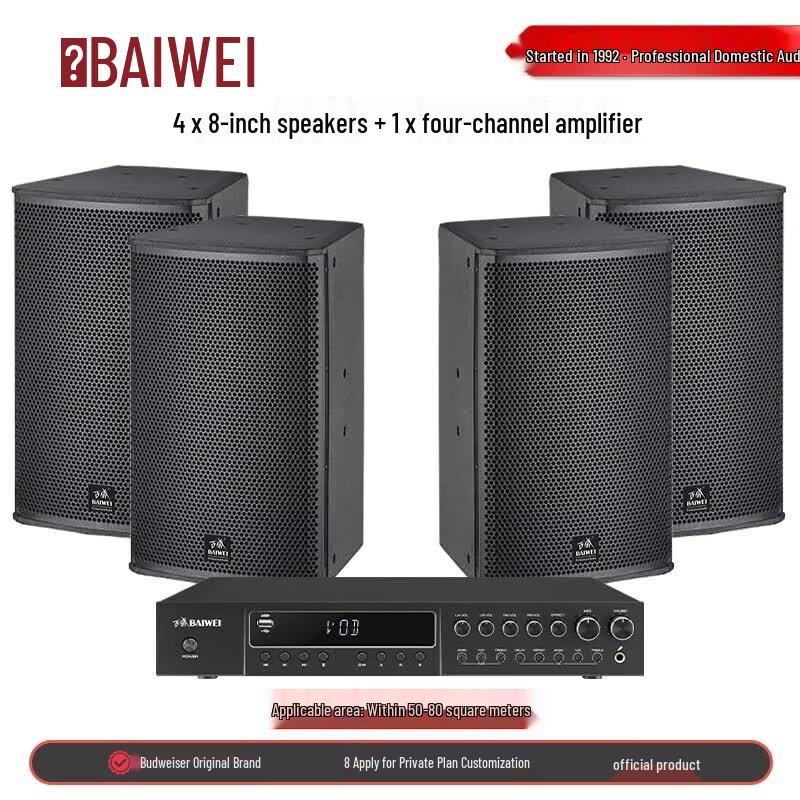 Baiwei Professional Wall-Mounted Audio System (CN version)