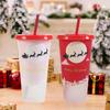 710ml Straw Cup with Lid Single-layer Christmas Magical Color Changing On Cold Cup for Trip