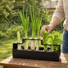Ventilated Cultivation Pot Plastic Soilless Cultivation Pot  Coriander Planting