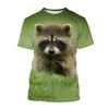 Fashion Cute Animal Raccoon 3D Print T-Shirts Summer Men Women Short Sleeve T Shirt Oversized Harajuku Tees Tops Kids Clothing