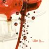 CD EYAL YANKOVICH - Life Is... YOYO044 YoYo Records 2001 Non Japan Dance & Electronica Used