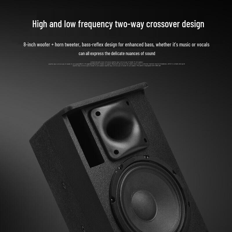 KAXISAIER Professional Passive Full-Range Speaker CN plug (adapter included) (CN version)