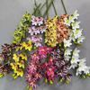 Artificial Cymbidium Hookerianum 10 Heads Simulated Vanda Cymbidium Tropical Phalaenopsis Tiger Orchid Plant