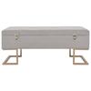VidaXL Bench with Storage Compartment 105 Cm Grey Velvet
