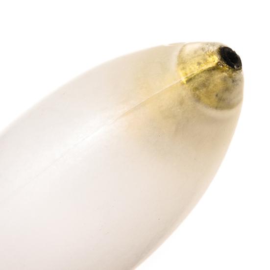 Fishing Buoy Slow Sinking Easy To Use Acrylic Fishing Tackle Floating Buoy Accessories for Seafishing