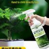 Asparagus Fern Liquid Nutrient Solution for Indoor Plants