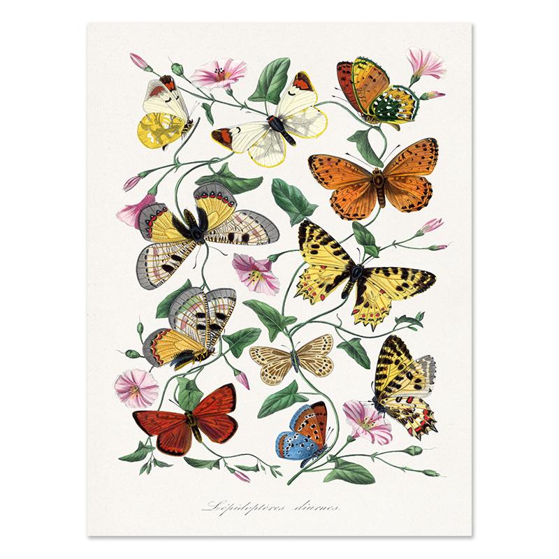 Ван Гог Матисс Пикассо Уильям постеры с принтами Декор для комнаты Абстрактная картина на холсте Цветочная настенная живопись для гостиной Домашний декор