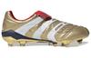 Predator Accelerator Adidas Fg Зинедин Зидан 'Золотой Металлик' F37076