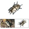 Realistic Beetle Action Figures Wild Insect Lifelike Insect Figurines  Desktop Ornament
