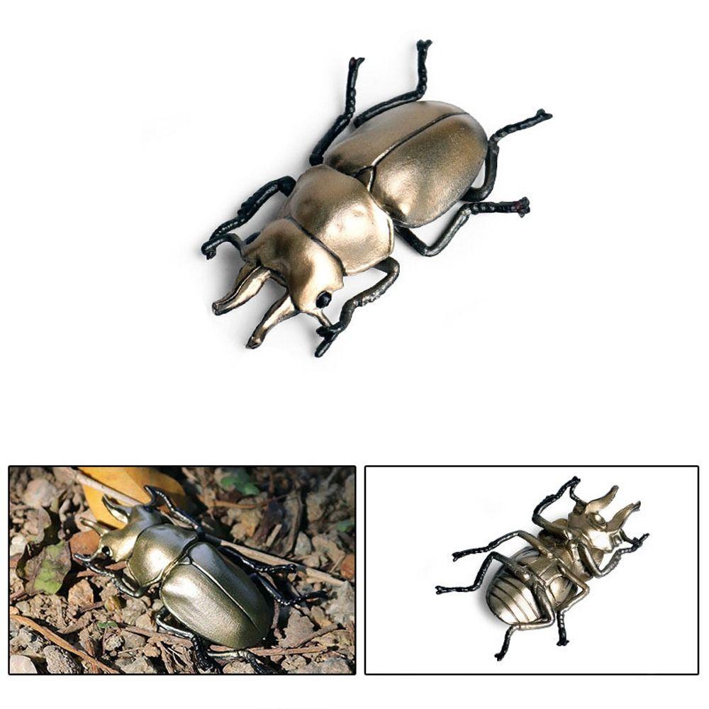 Realistic Beetle Action Figures Wild Insect Lifelike Insect Figurines Desktop Ornament