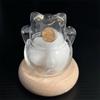 Transparent Cat Fur Keepsake Display, Glass Fortune Cat Bottle With Base, Mini Pet Memorial Storage Jar