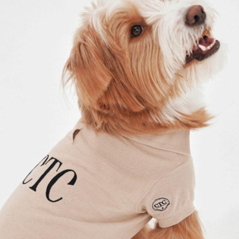 CROOKTHECHIHUAHUA Стандартный топ половинной длины ( 6color )