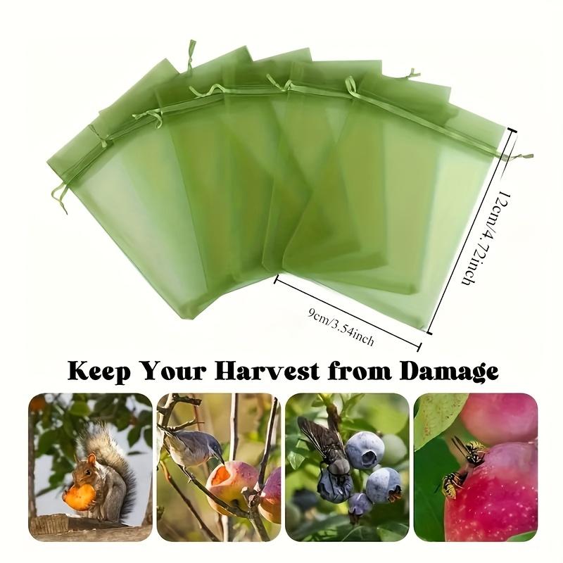 50pcs Reusable Fruit And Vegetable Protection Bags - 12x9cm Drawstring Net Cover