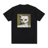 Mitski 2026 Летняя футболка Харадзюку Nothing's Aboutto Happen to Me Tee Высококачественная графическая печать ТИШКА чистый хлопок Круглый вырез...