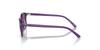 Солнцезащитные очки JUNIOR LEONARD RJ9093S [Ray-Ban]