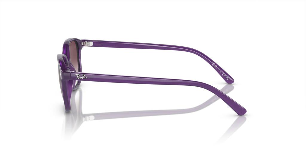 Солнцезащитные очки JUNIOR LEONARD RJ9093S [Ray-Ban]