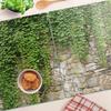 Glass Kitchen Chopping Boards with Green Ivy Graphics 2x40x52 cm