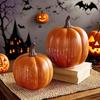 Twinkle Light Pumpkins Starry Night Pumpkin Lantern Timer LED Lighted Sparkling Pumpkins Fall Halloween Decorations for Home
