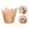 Pack of 120 Tulips Cupcakes Liners Elegant Cake Wrapping Paper Kitchen Bakings Supplies Muffins Cup for Wedding Partys