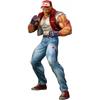 Fatal Fury The King Of Collectors 24 Ex Терри Богард Hg Поврежденная версия. 