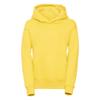 Russell Childrens/Kids Hoodie