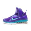 LeBron 9 'Summit Lake Hornets' Men's 469764-500