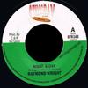 7inch Record RAYMOND WRIGHT / SANDRA CROSS - Night & Day / Laptop & Face Book STR163 Stingray Record 2011 UK Reggae, Ska & Dub Used