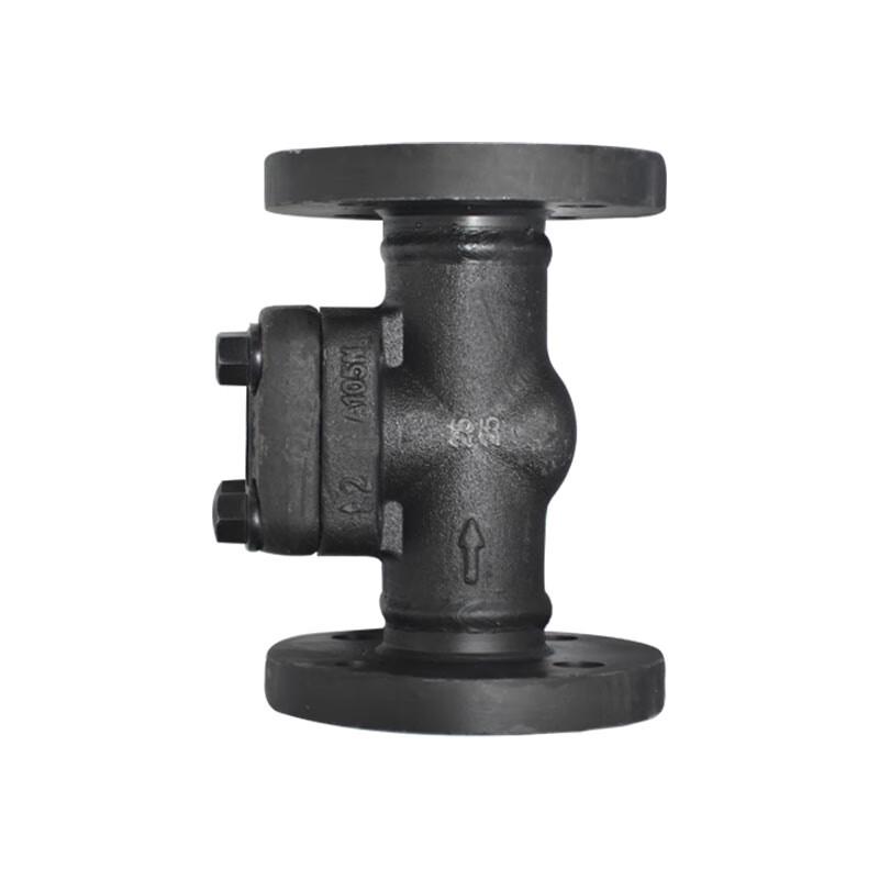 Jinghong Forged Steel Flange Check Valve