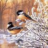 Diamond Embroidery "Birds with Icicle" Diamond Painting Cross Stitch Needlework Mosaic Full Drill