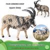 Четырехрогая овца, Коала, Крот, Коза, Обезьяна - Модель животного, Игрушка - Образовательный подарок и Домашний декор