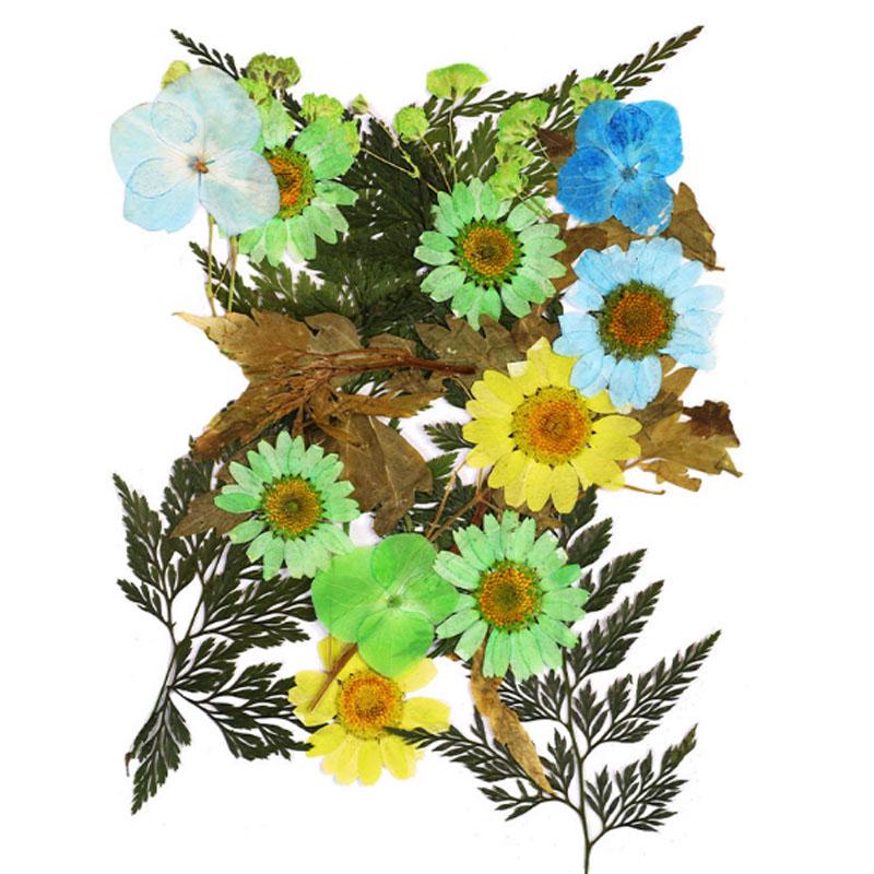 Популярные маленькие 25 шт./пакет, высокое качество, украшение для дома, сушеные цветы, прессованные цветы, консервированные цветы, сделай сам, мини-цветы ручной работы