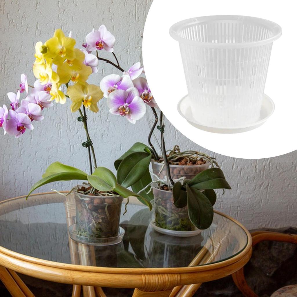 Planter Clear Pots with Holes Flower Planters for Dendrobium Slotted Orchids Transparent Net