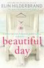 The Beautiful Day : Dive Into 'the Perfect Beach Read' (Publishers Weekly) This Summer! Book