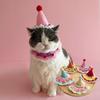 Милая кошачья шляпа на день рождения Наряд для питомца на вечеринку в честь дня рождения Набор для шеи собаки Фотоукрашение Аксессуары для собак ручной работы для маленьких собак Щенка