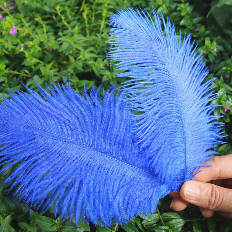 Большие страусиные перья 15-20 см для свадебных композиций и сценического реквизита