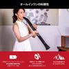 Akai Professional EWI Solo Wind Synthesizer, Electronic Wind Instrument with Built-in Speaker and 200 Voices
