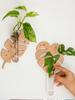 1/2 шт. Настенные кашпо в форме листа, деревянные настенные подвесные горшки для растений с вазой-пробиркой, станция для размножения в помещении, декор для дома и сада