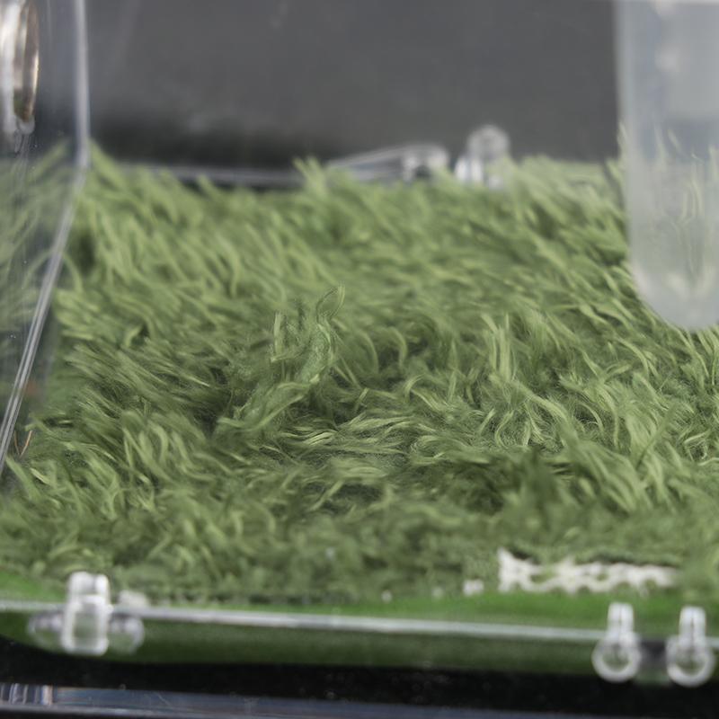 Коробка для разведения рептилий, акриловая коробка для террариума с насекомыми, пауком, ящерицей, скорпионом Enti's