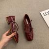 Fashion 2024 New Spring Belt Buckle Shoes for Women Chunky Heel Silver Mary Jane Pumps Square Toed Single Women's Shoes