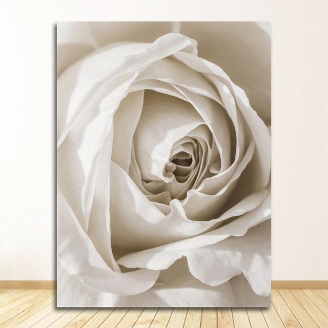 And Prints Plant Wall Pictures For Living Room Decor White Rose Flower Feather Dandelion Wall Art Canvas Painting Nordic Posters