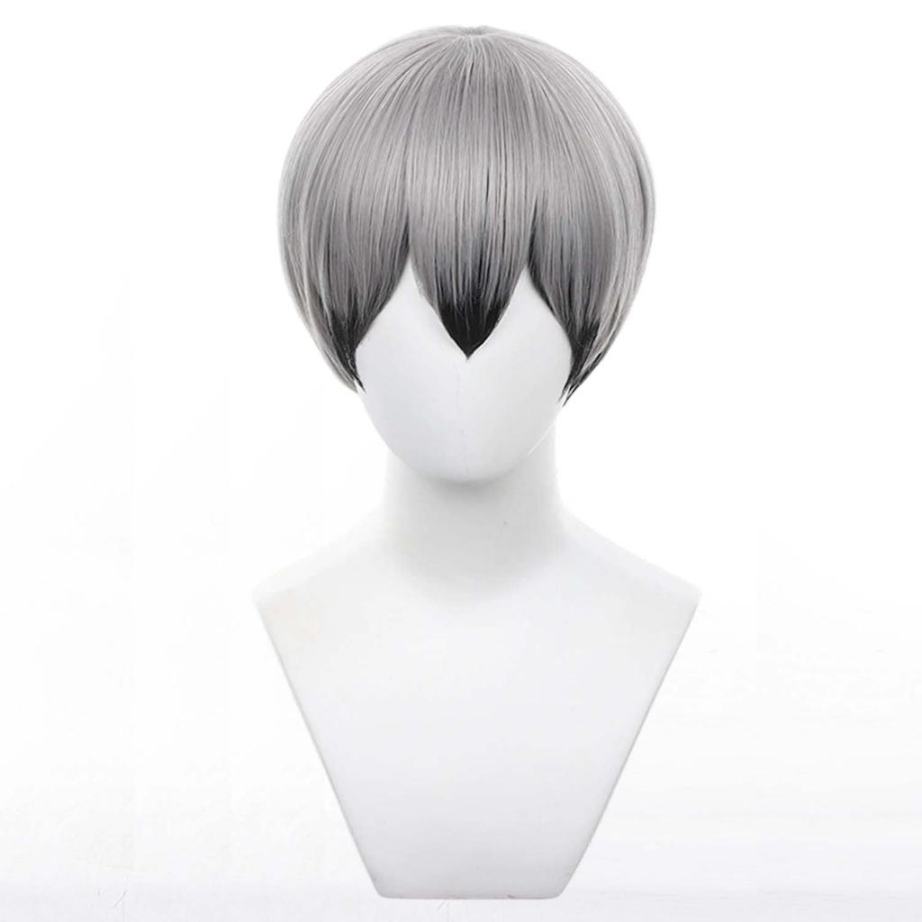 Short Anime Character Cosplay Perfect for Comic Market Cultural School and Other Includes Wig Gray/Black Wig, Accessory, Heat-Resistant Wig, Events,