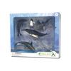 CollectA Sea Animal Figures Gift Set (Pack of 6) (A)