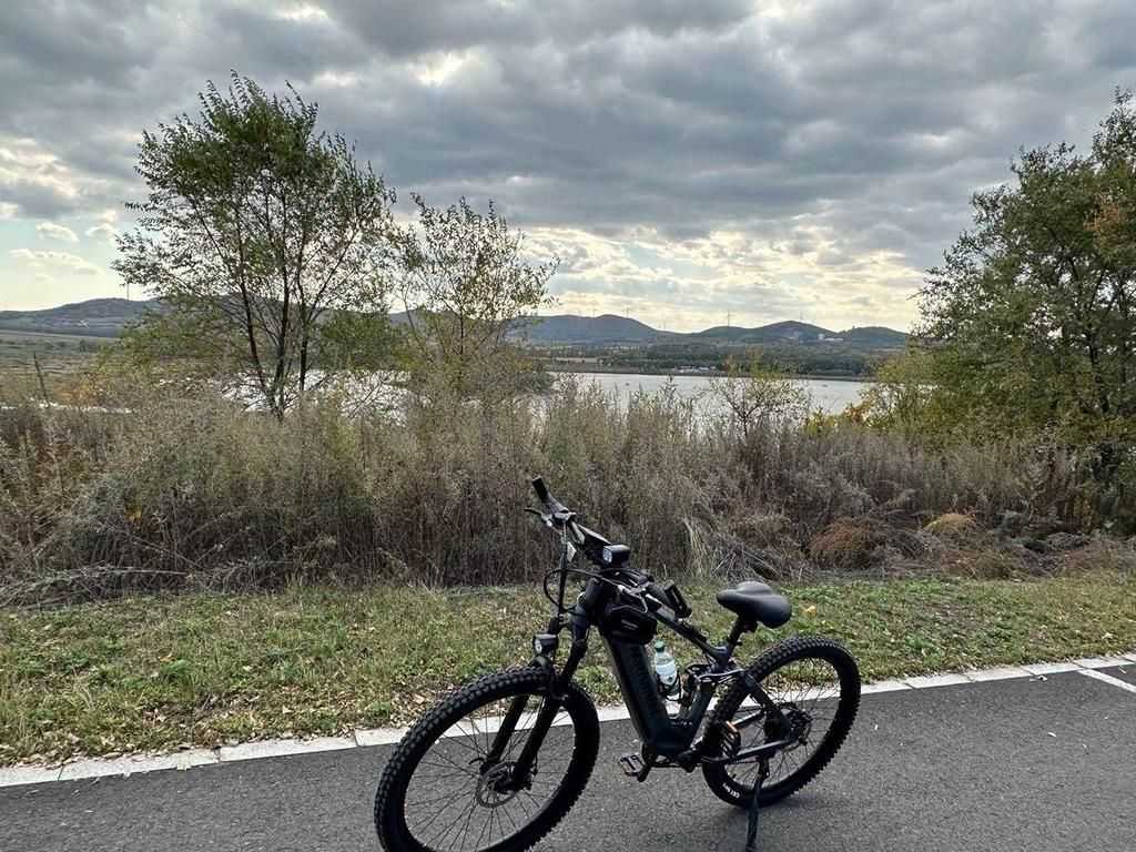 Ebike SYR03 Внедорожный электрический горный велосипед 1000 Вт 48 В 20 Ач с питанием от литиевой батареи, мягкий задний амортизатор, вседорожный