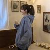 Флисовый свитер женский осень и зима корейская версия свободный с капюшоном уличный свободный дизайн чувство нишевый женская мода оптом