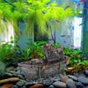 Fish Tank Decoration Fighter Vintage Airplane Ruins Fish Shrimp Shelter Cave Hideout Resin Aquarium Decor Turtle Tank Decoration