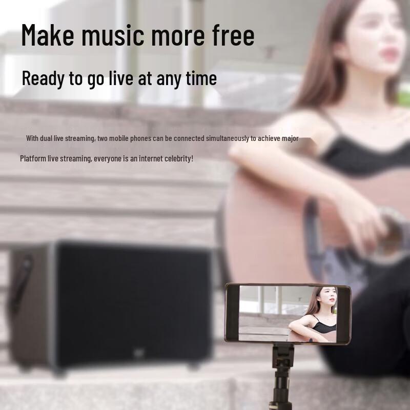 HuiDu NB-500L Professional Portable Live Performance & Recording Speaker with Dual Mics