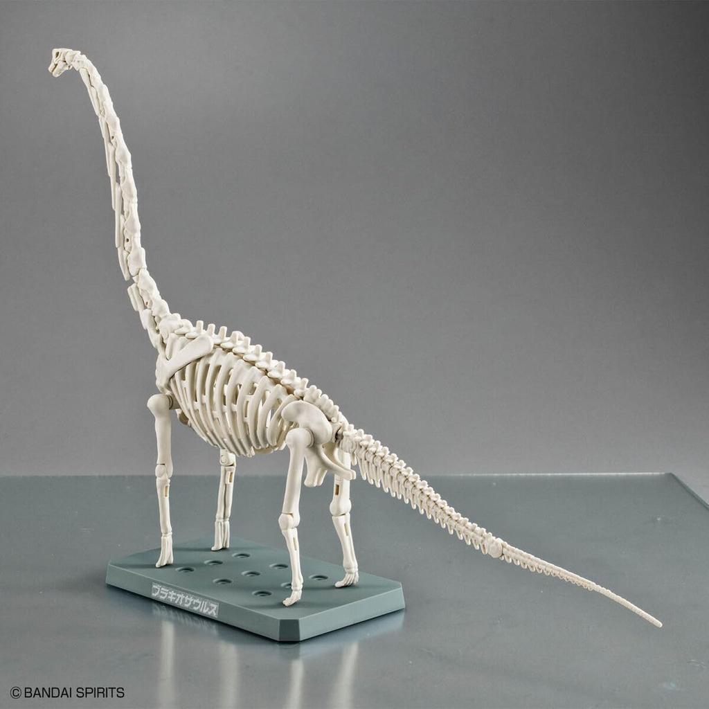 BANDAI SPIRITS Planosaurus Brachiosaurus Color-coded Plastic Model
