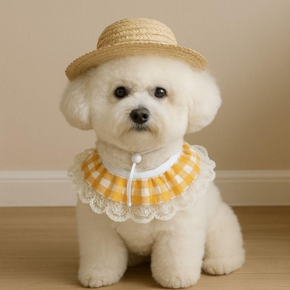 Смешной костюм гуся для крыльца, Костюм домашней птицы ручной работы, Шапка-гусь, Шарф, Аксессуары для ухода за уткой