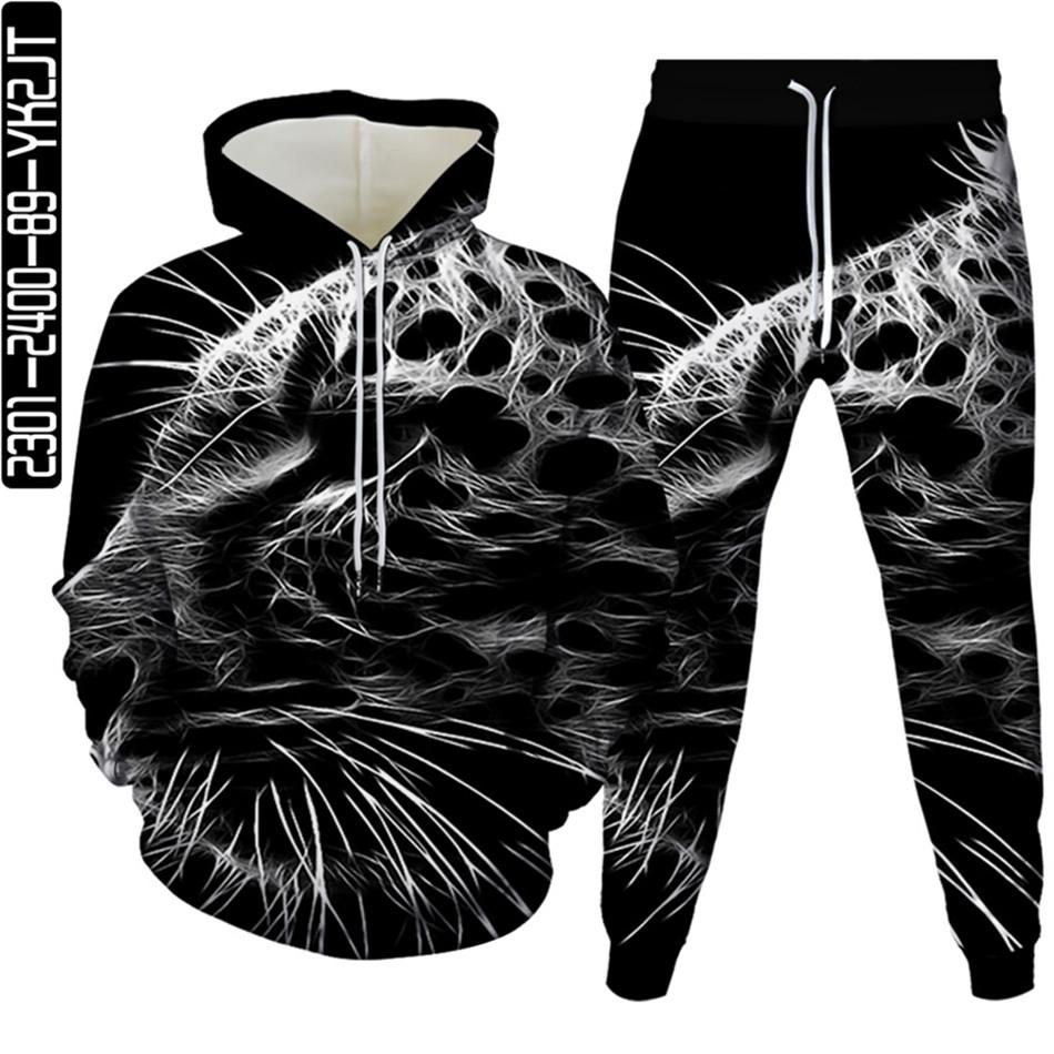 Весенне-осенний мужской спортивный костюм с 3D принтом животных и леопарда, 2 предмета, женский спортивный костюм больших размеров S-6XL, одежда с капюшоном и брюками, спортивный комплект